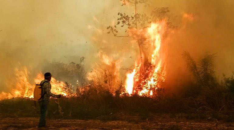  Tras semanas de reclamos, el Gobierno declara desastre nacional por incendios