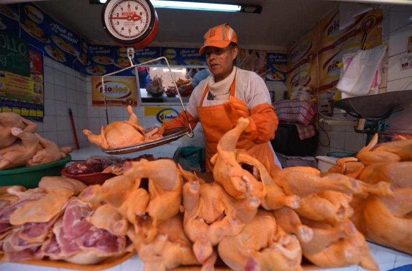  Bajo el preciodel pollo a 18,50 bs