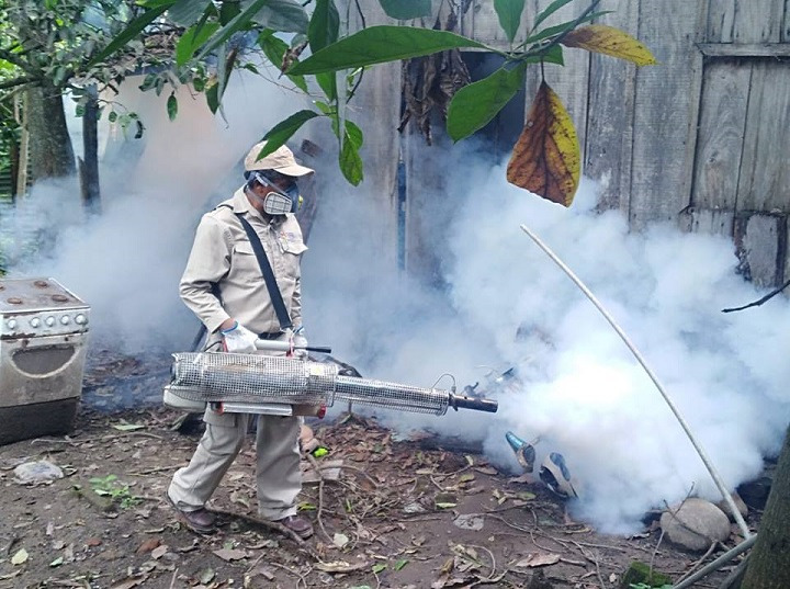  ¡Atención! Los casos de chikunguña se disparan en Santa Cruz: 24 contagios en un solo día