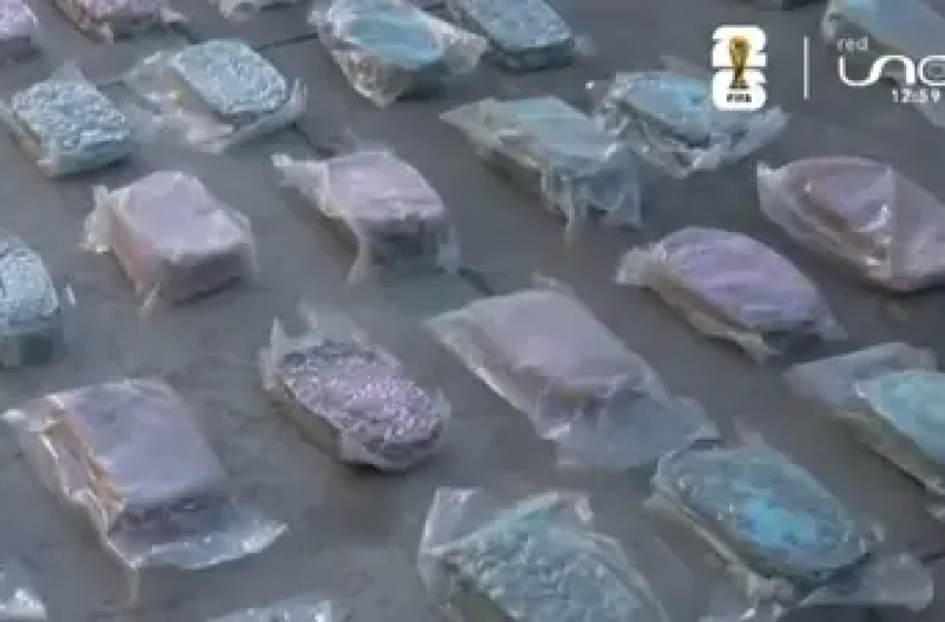  ¡GOLPE AL NARCO! CAE MEDIA TONELADA DE MARIHUANA Y SIETE IMPLICADOS EN COCHABAMBA