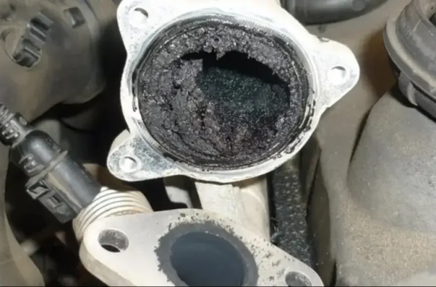  ¡EL ENEMIGO SILENCIOSO! LA CARBONILLA ESTÁ MATANDO TU MOTOR Y TU SEGURIDAD